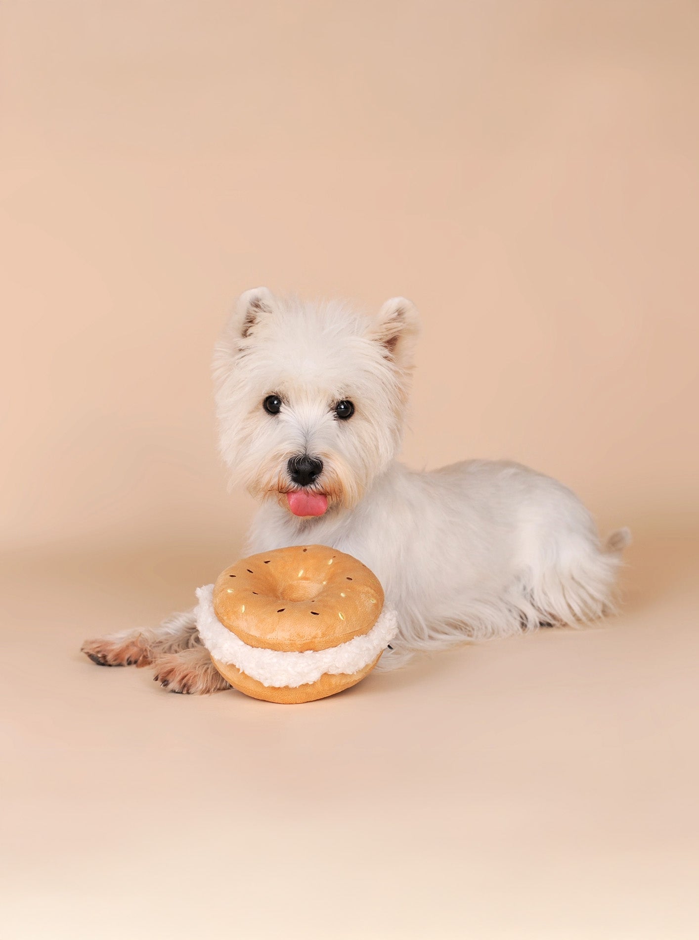 BAGEL PLUSH SQUEAKY DOG TOY