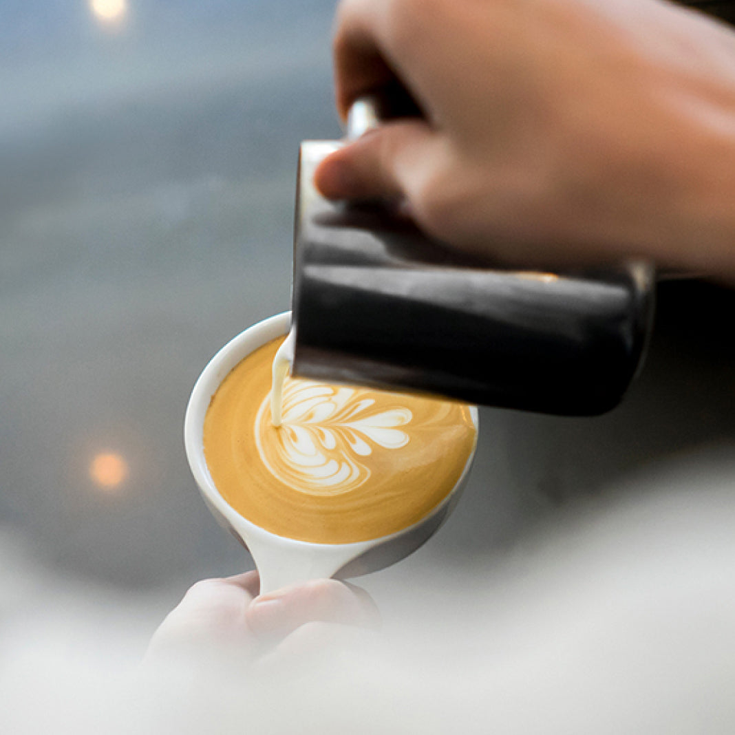 Black Cat Espresso Capsules
