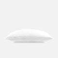 Down Pillow