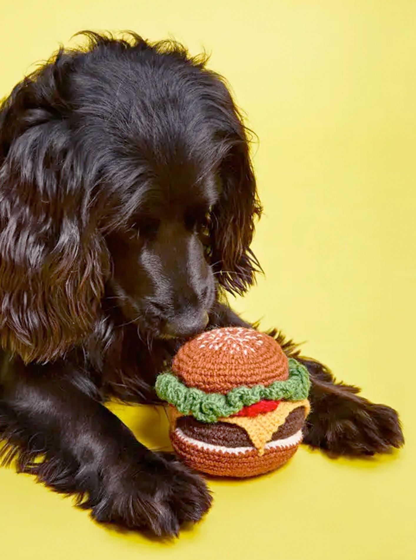HAND KINT HAMBURGER DOG TOY