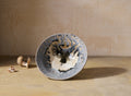 Arago Bowl