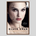 Black Swan International Poster