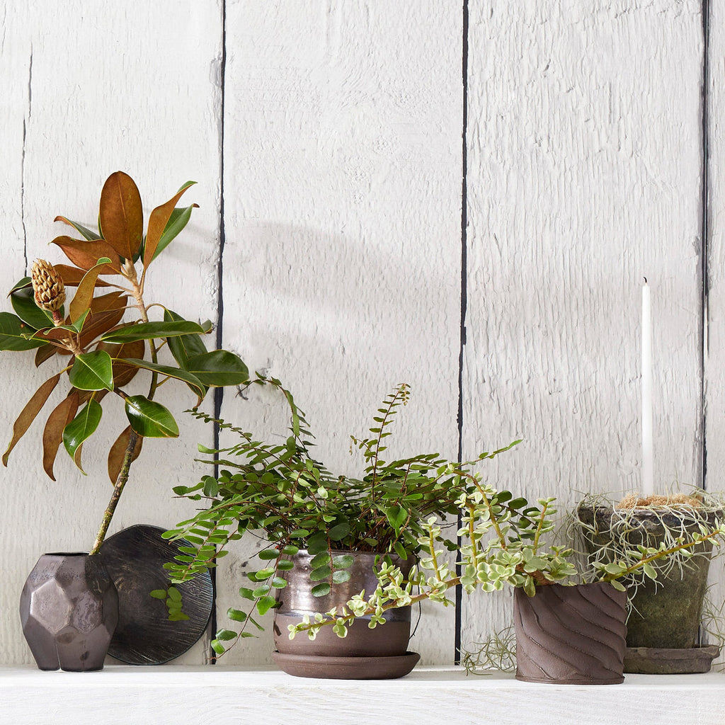 Bark Planter