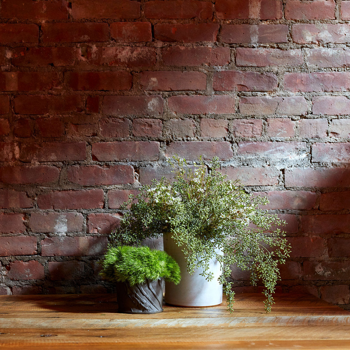 Bark Planter