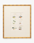 Botanical Grid 1