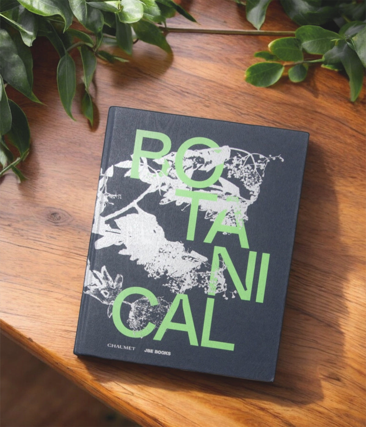 Botanical: Observing Beauty