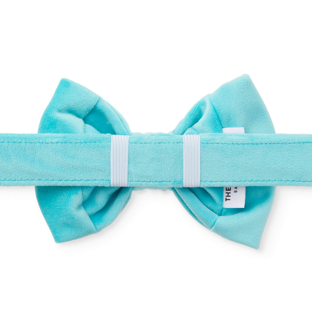 Robin’s Egg Velvet Bow Tie Collar