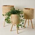 Bleached Woven Plant Stands