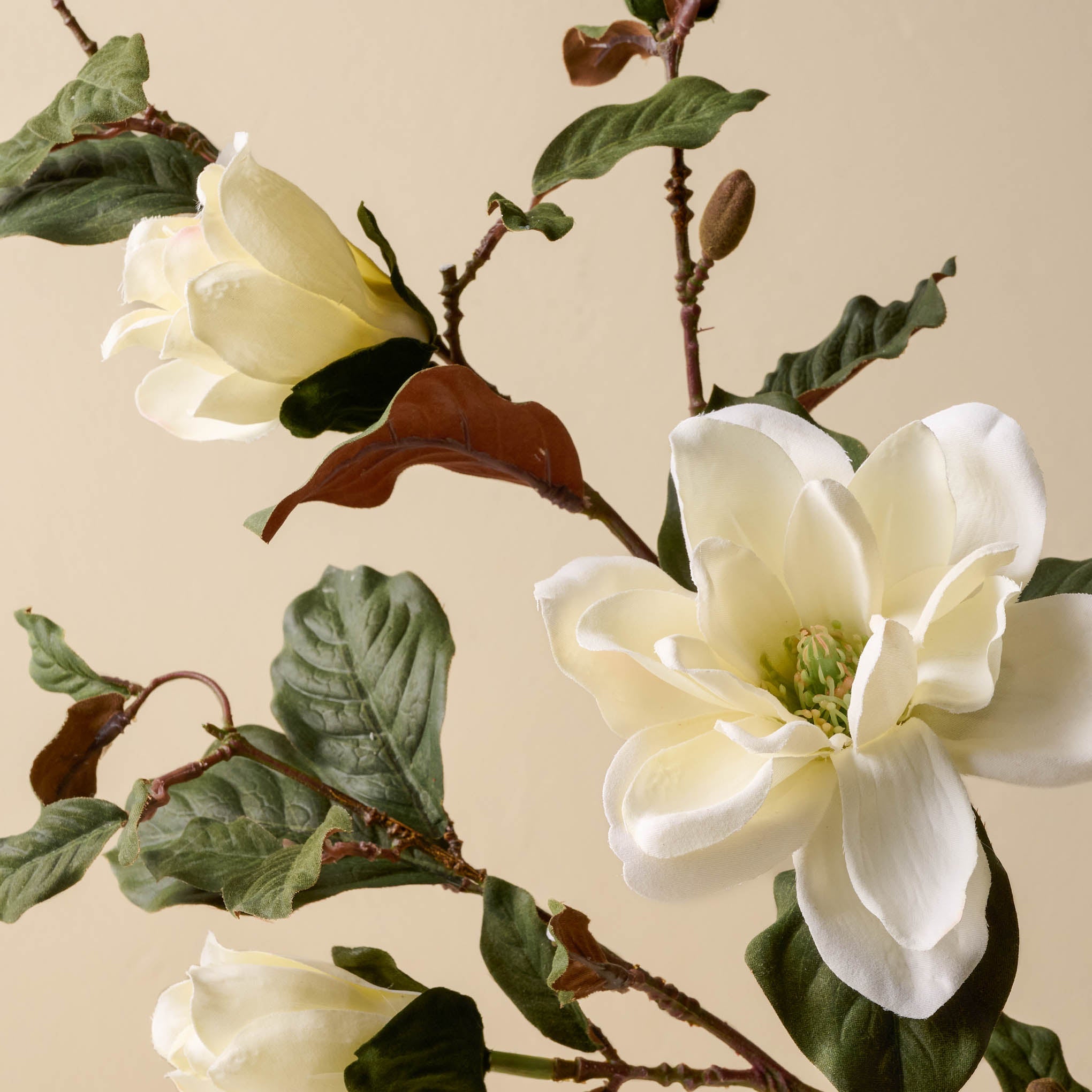 Magnolia Spray