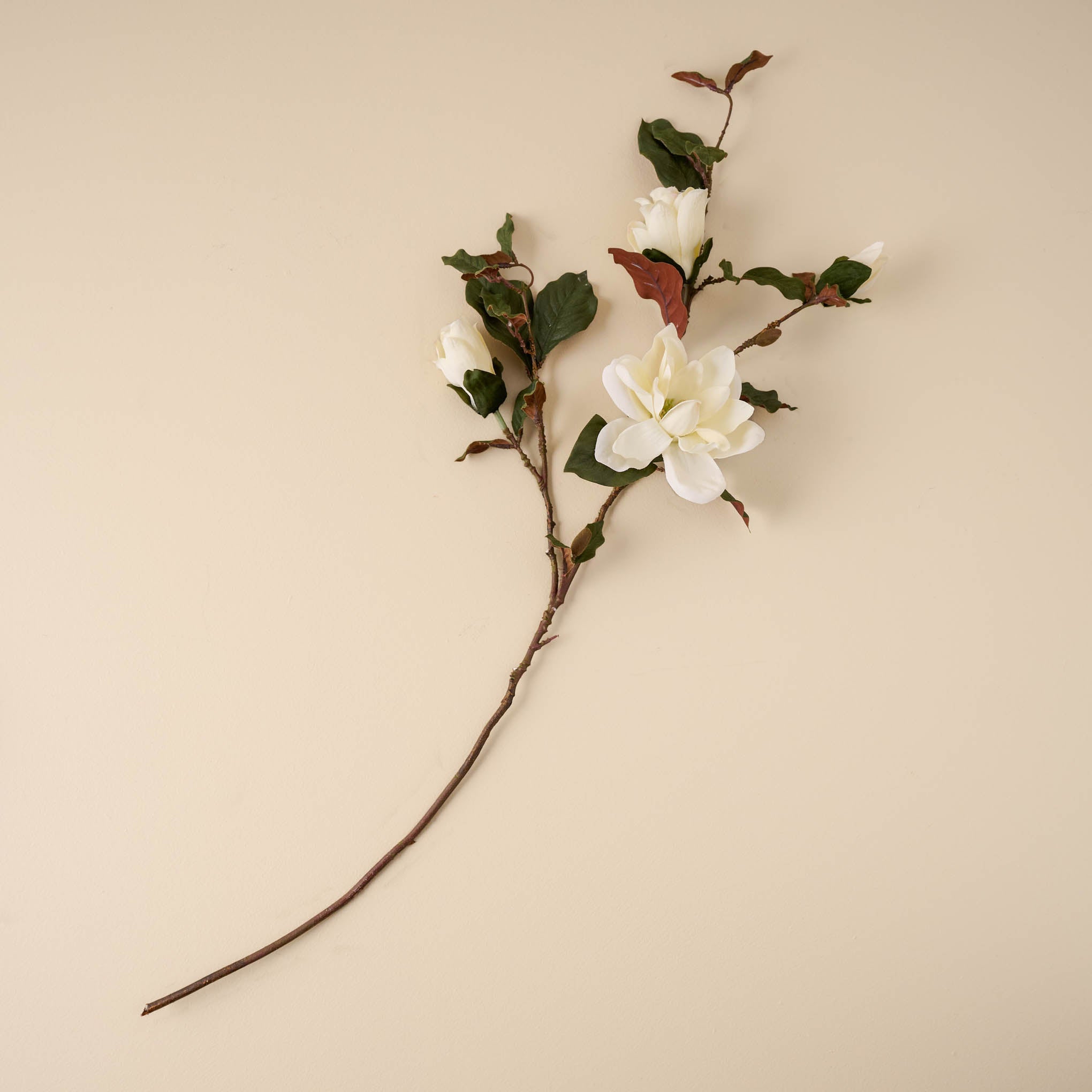 Magnolia Spray