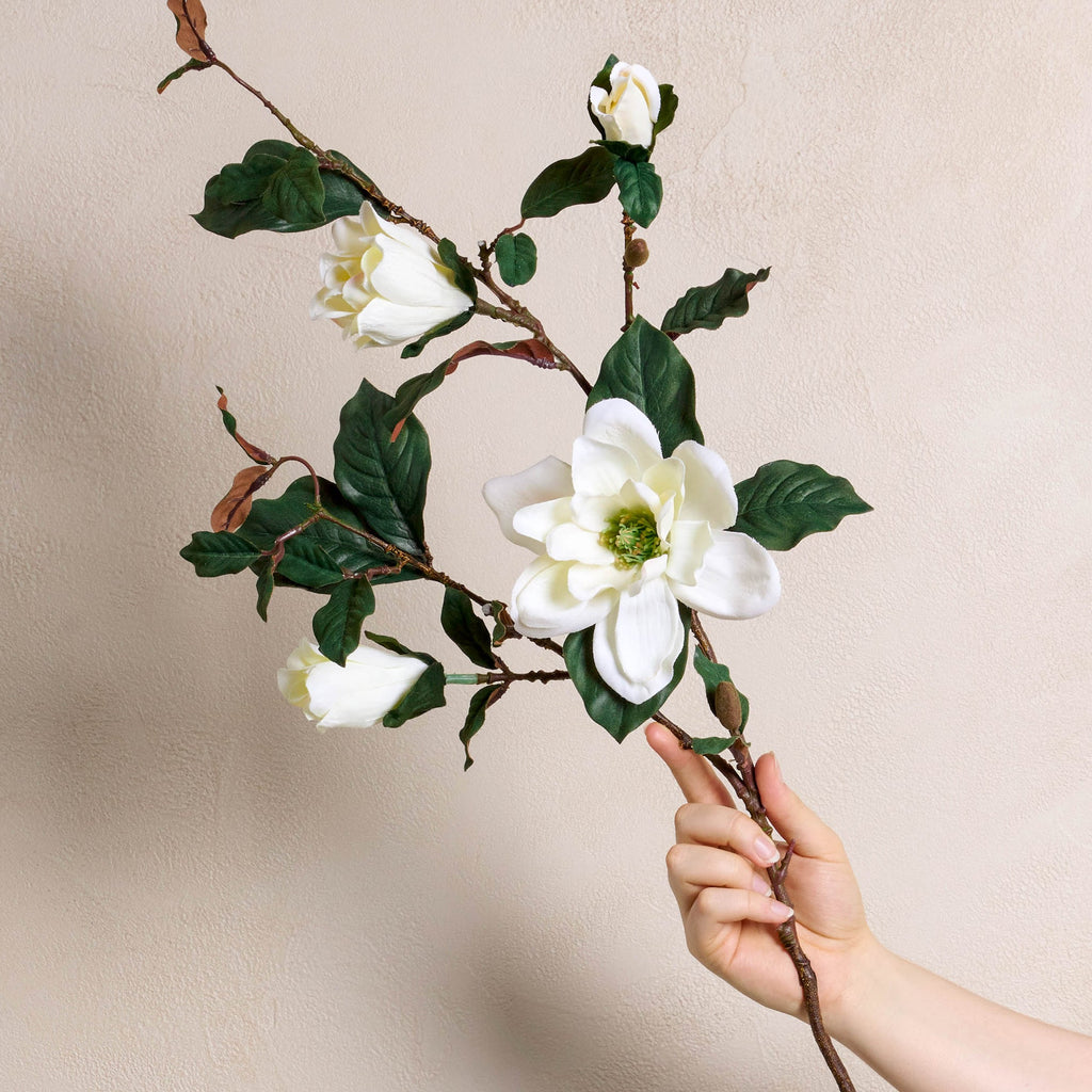 Magnolia Spray