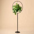 Hayden Plant Stand
