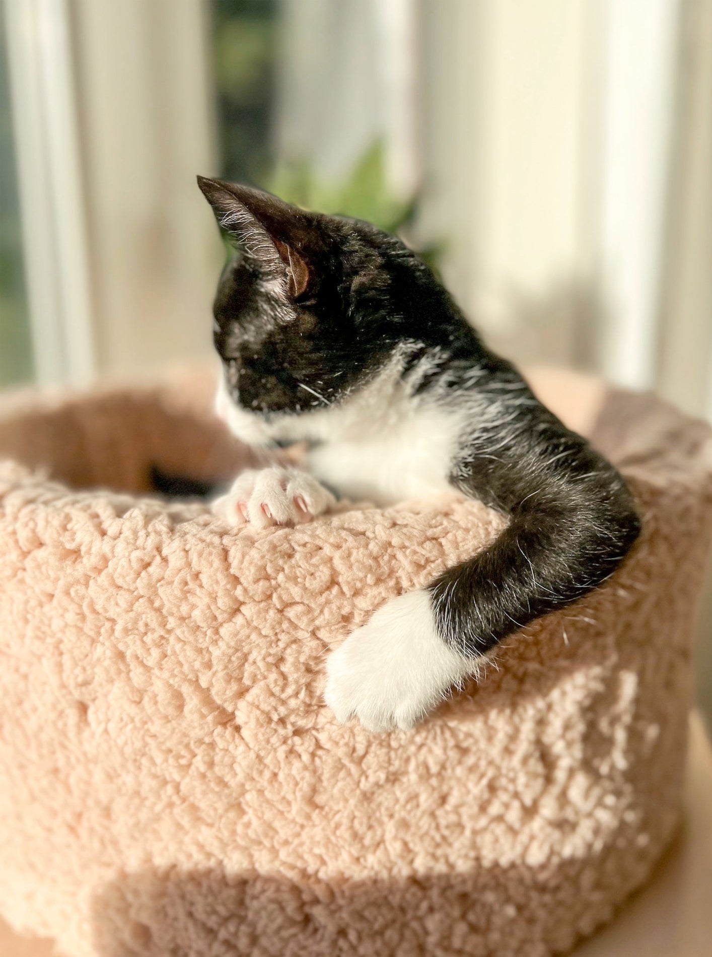 ULTRA-SOFT SHERPA CAT BED