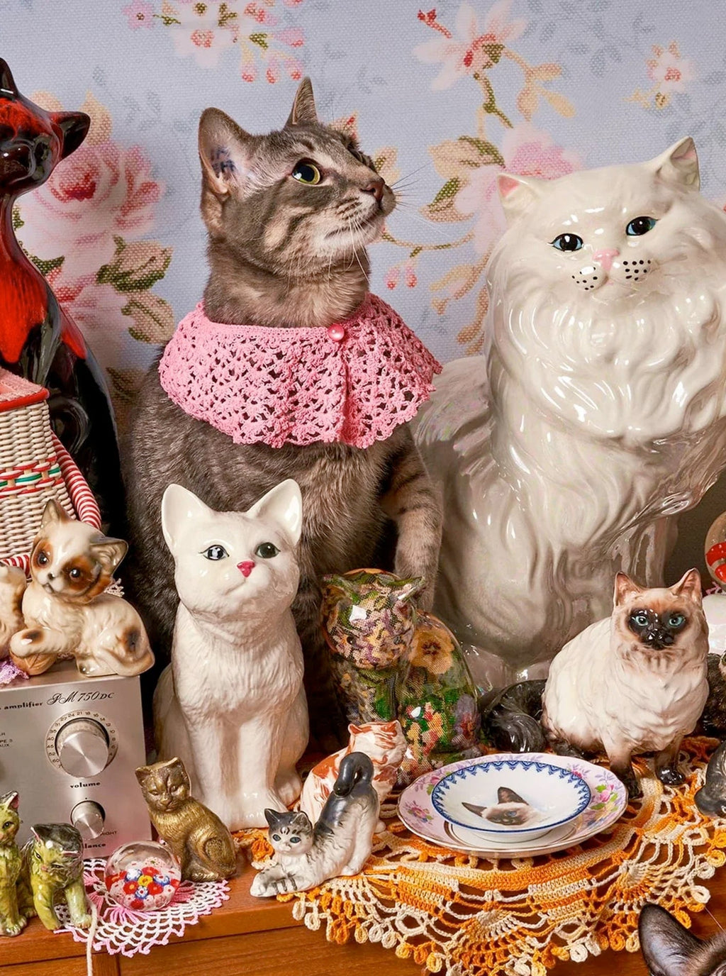 CAT PERSON PUZZLE