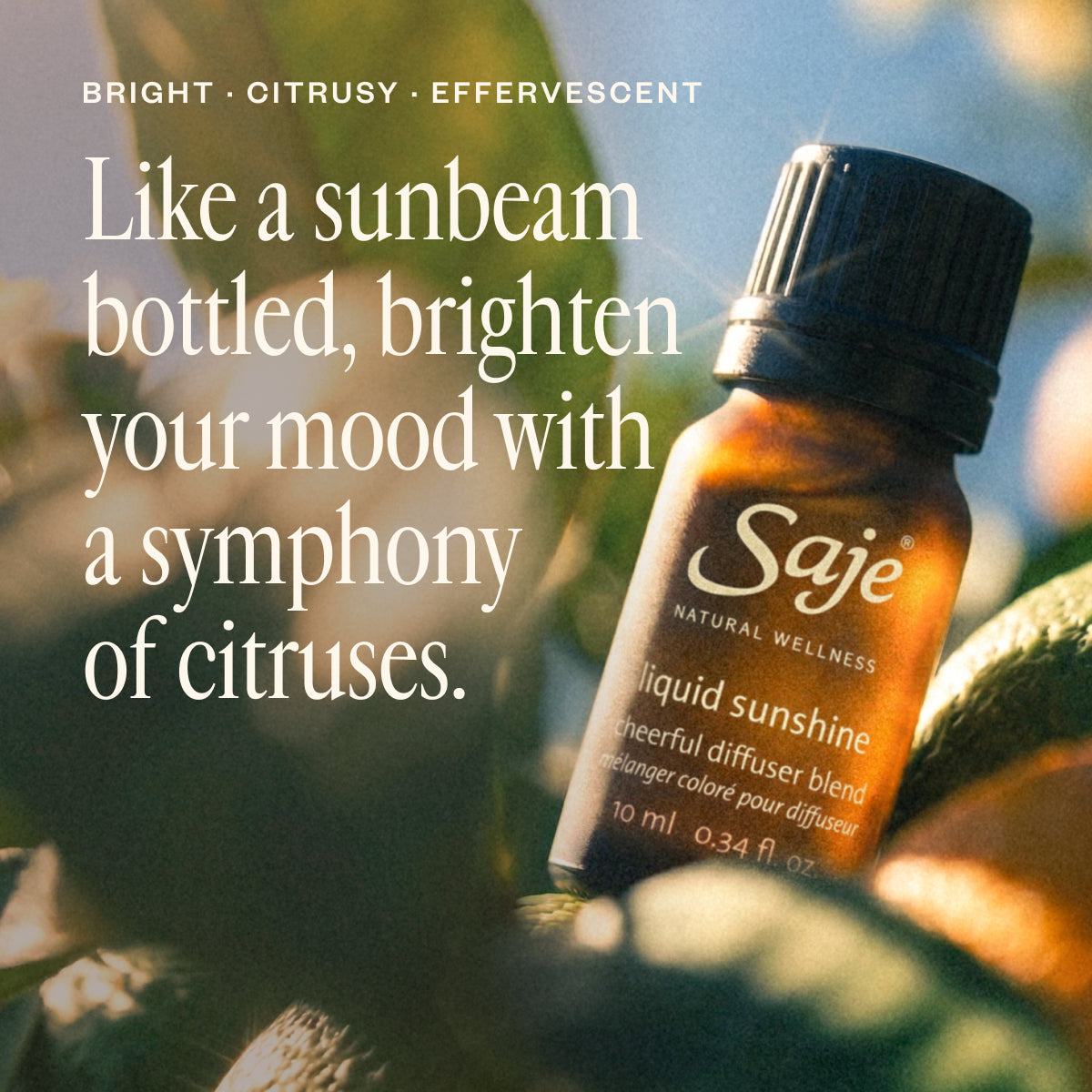 Liquid Sunshine®