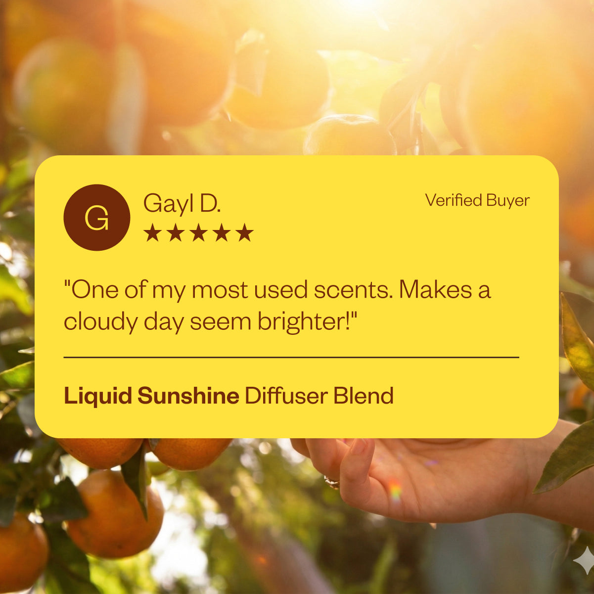 Liquid Sunshine®