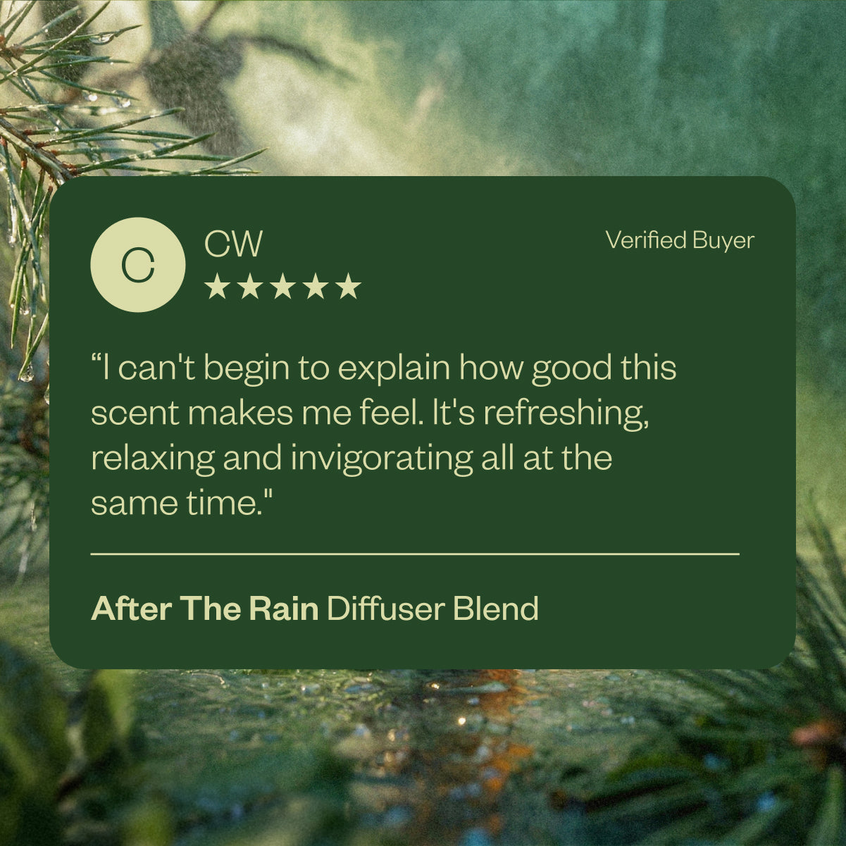 After the Rain