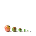 Apple Matryoshka