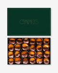 Holiday Dark Chocolate Apricots - Large Gift Box
