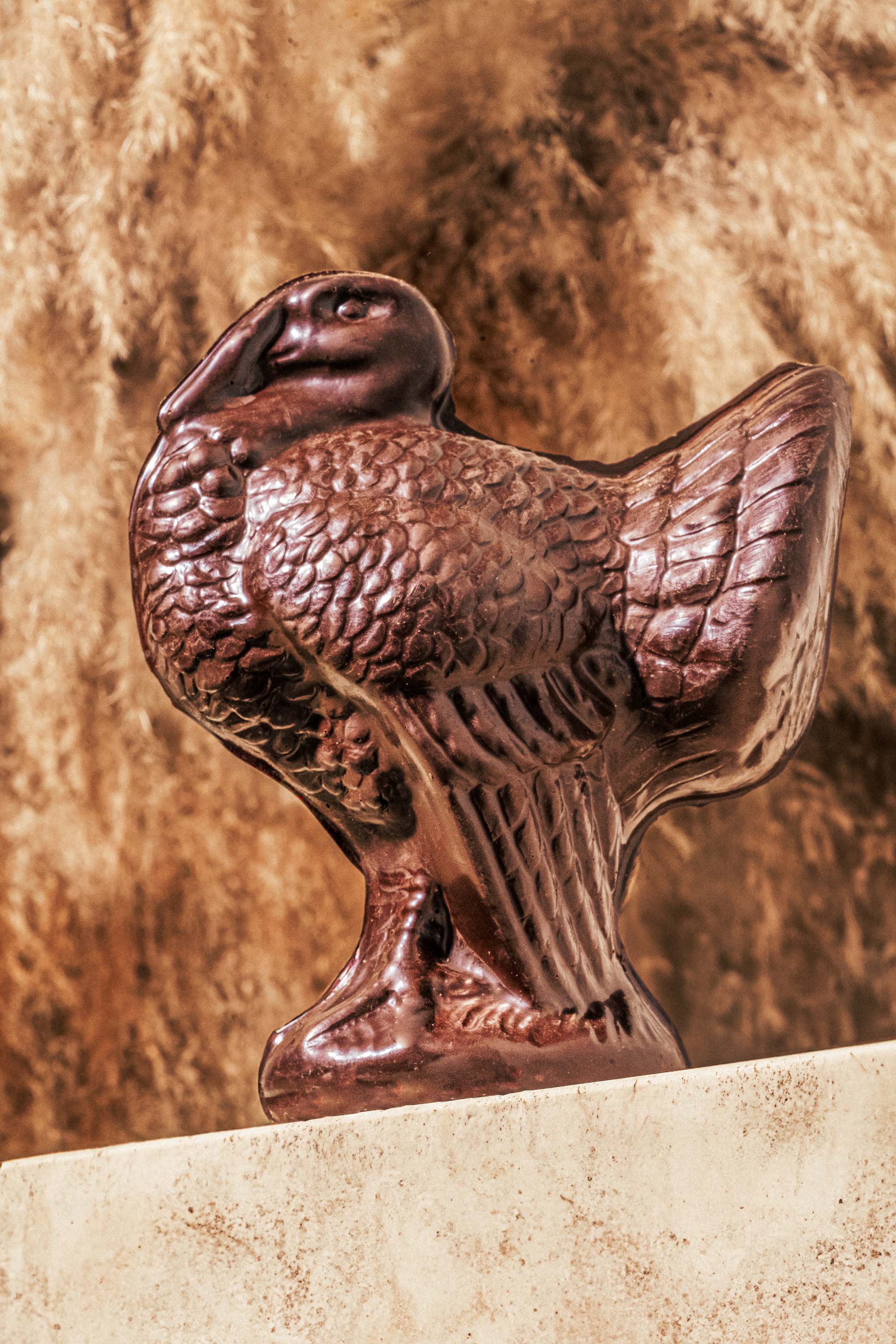 Thanksgiving Chocolate Turkey - Extra Large