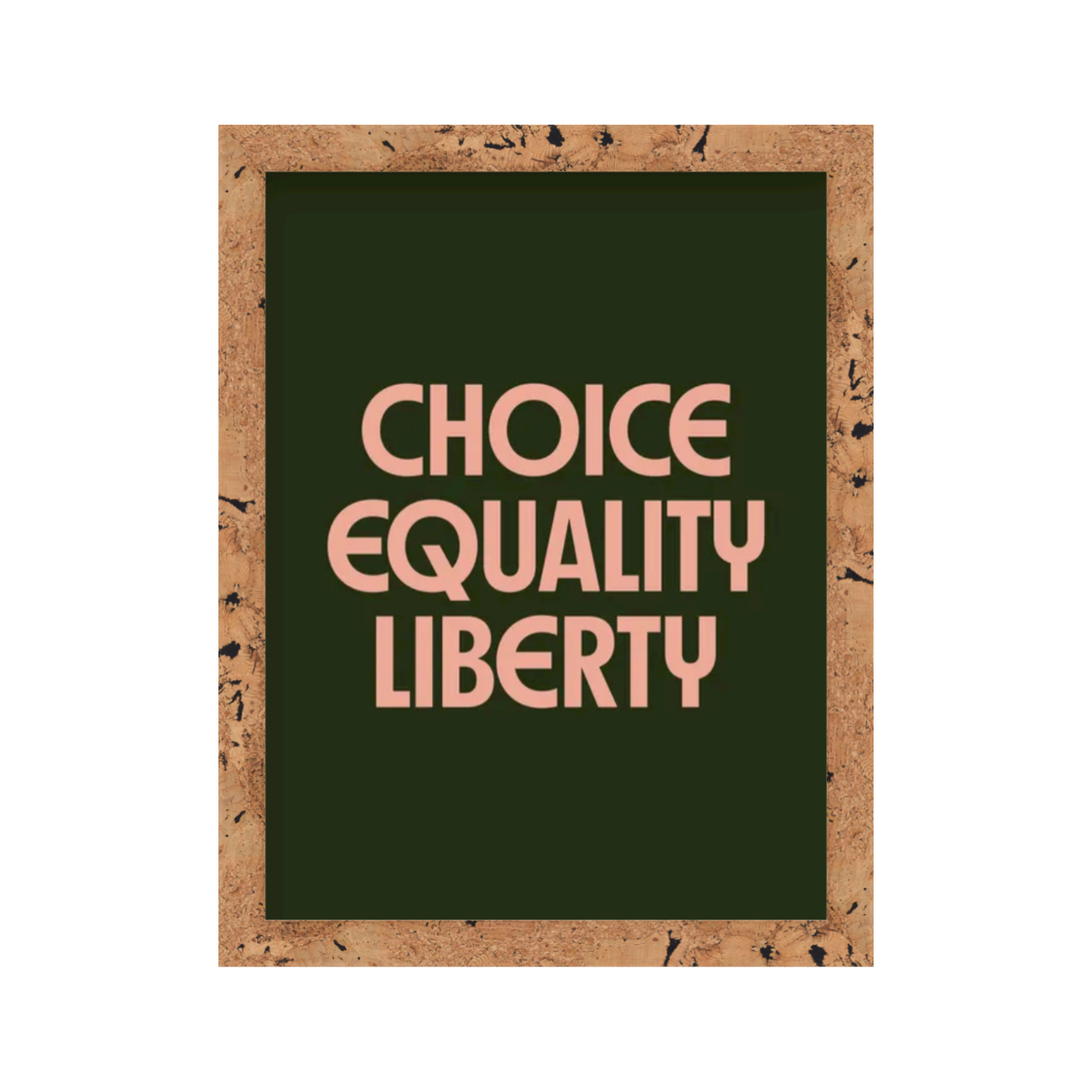 Choice Equality Liberty