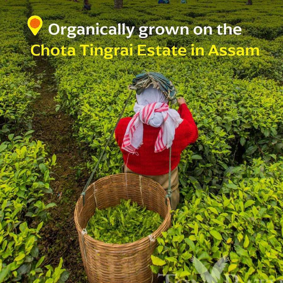 Chota Tingrai Black Tea