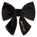 Black Velvet Lady Dog Bow