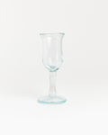 Tulipe in Transparent