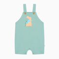 Peter Rabbit Summer Dungarees