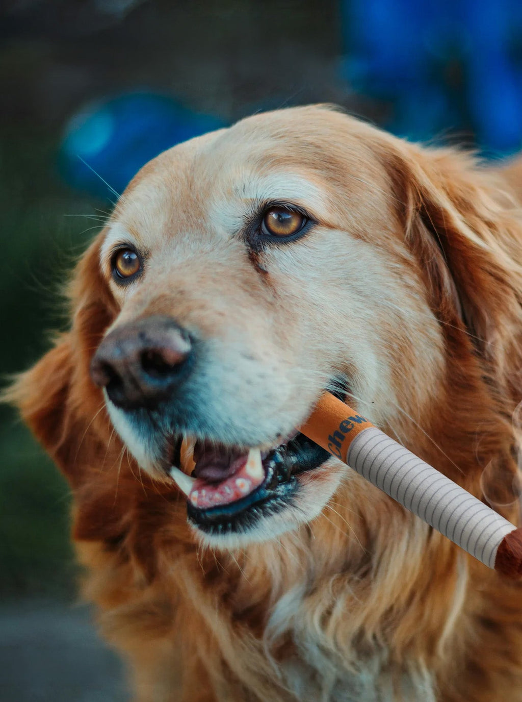 3 PACK CIGARS DOG TOY