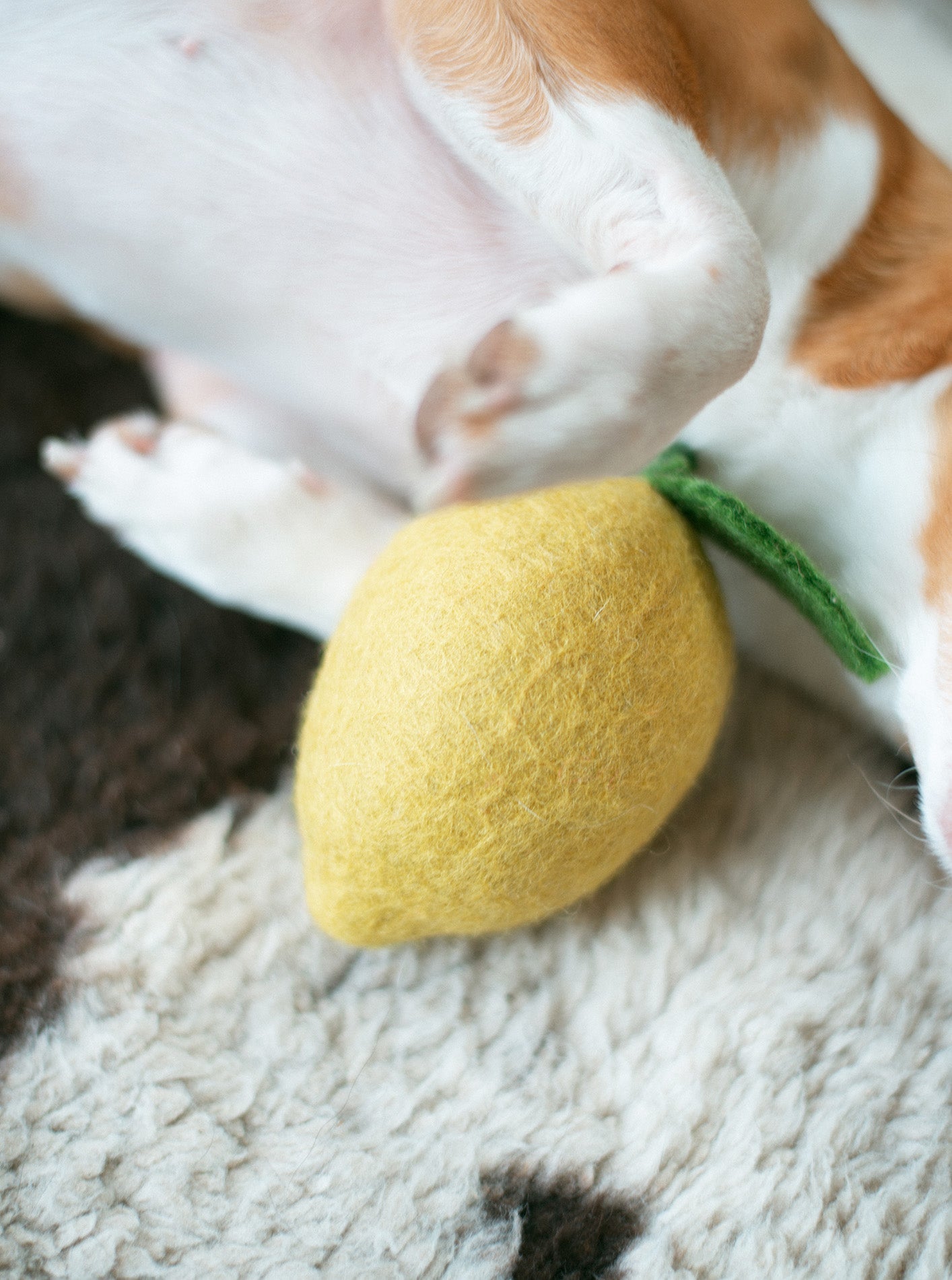 WOOL LEMON