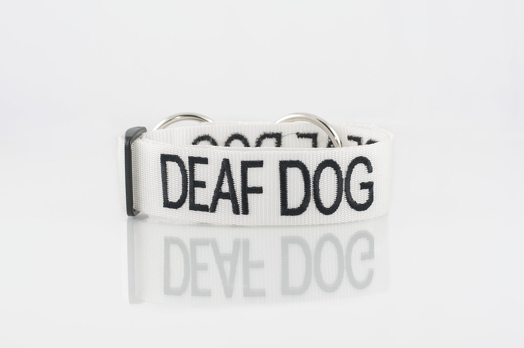 Deaf Dog Collar