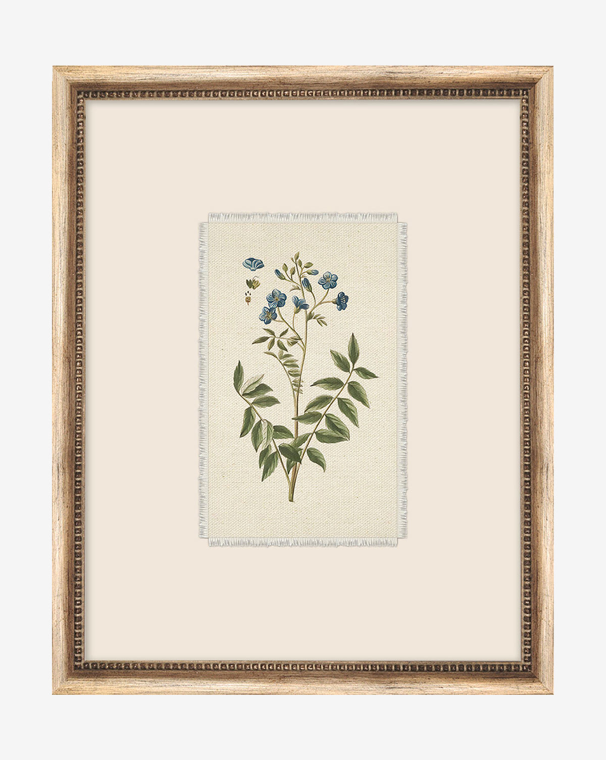 Petite Floral IV