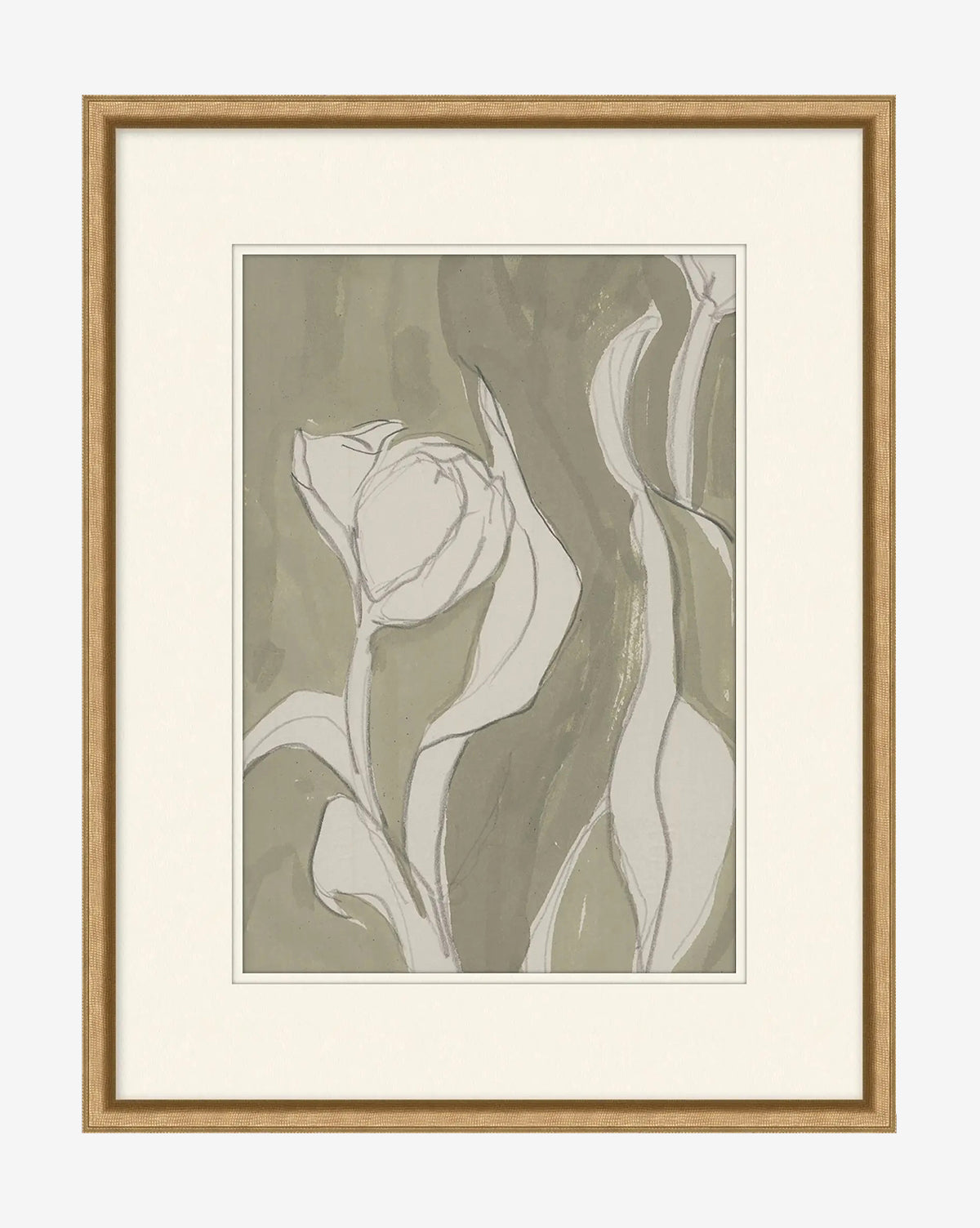 Delicate Tulip II by Rebekah Webb