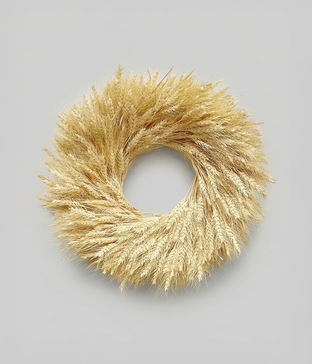 Classic Dried Blonde Wheat Wreath, 22"