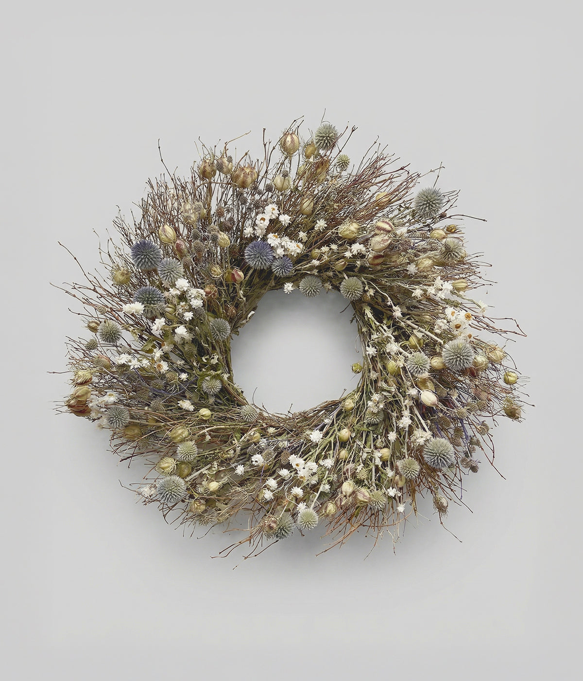 Rosalind Dried Thistle & Daisy Wreath, 22"