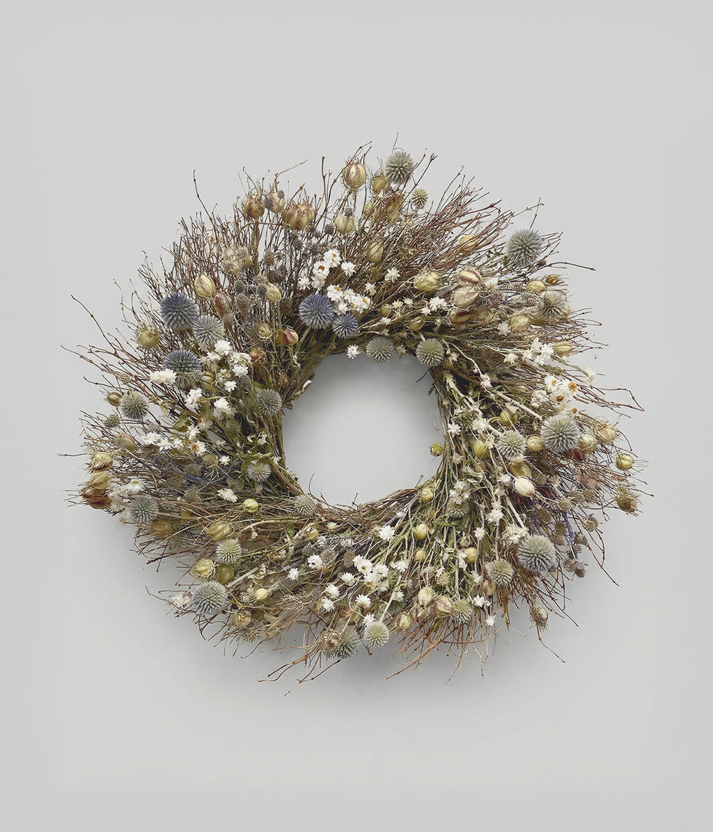 Rosalind Dried Thistle & Daisy Wreath, 22"