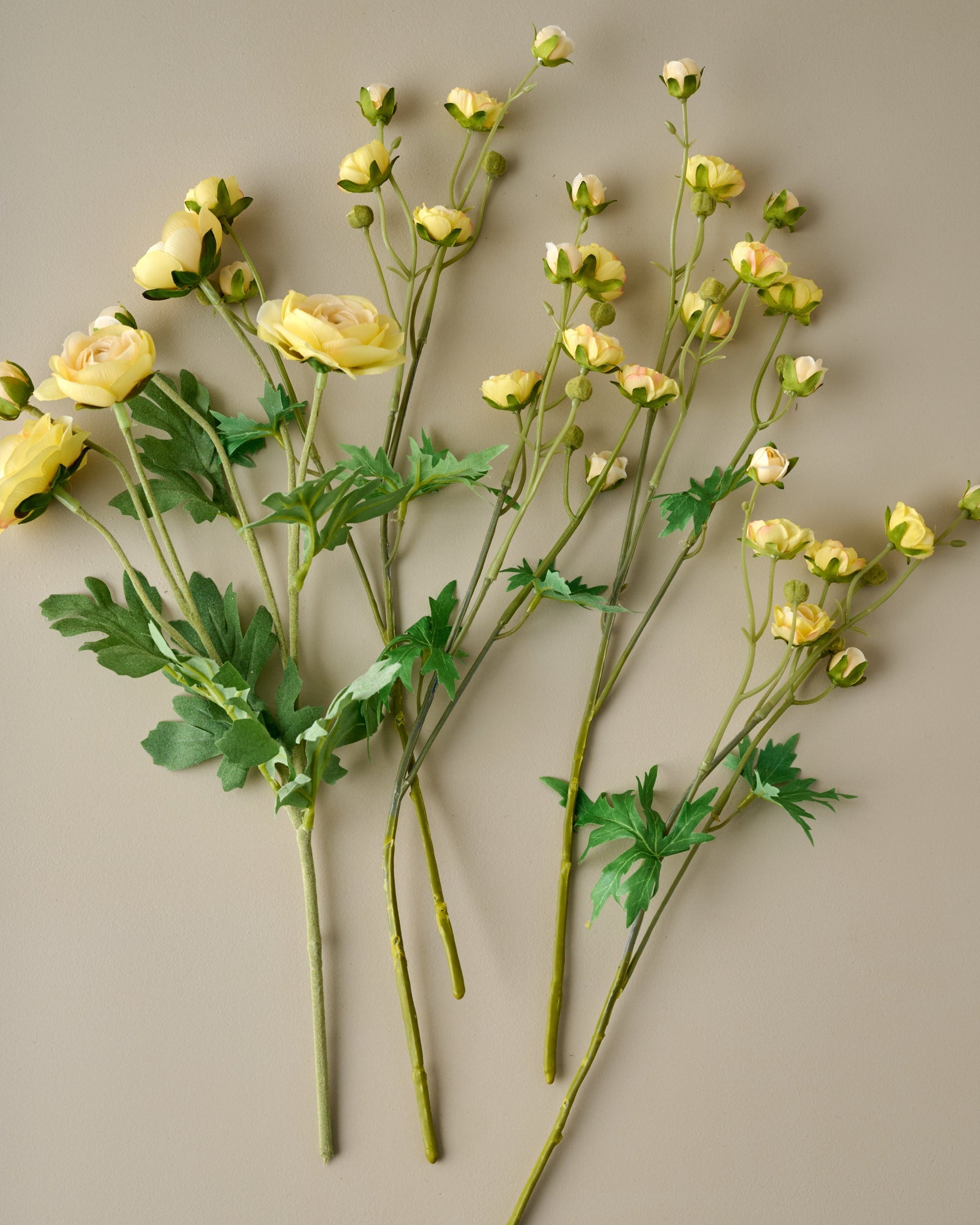 Ranunculus Bloom Bundle