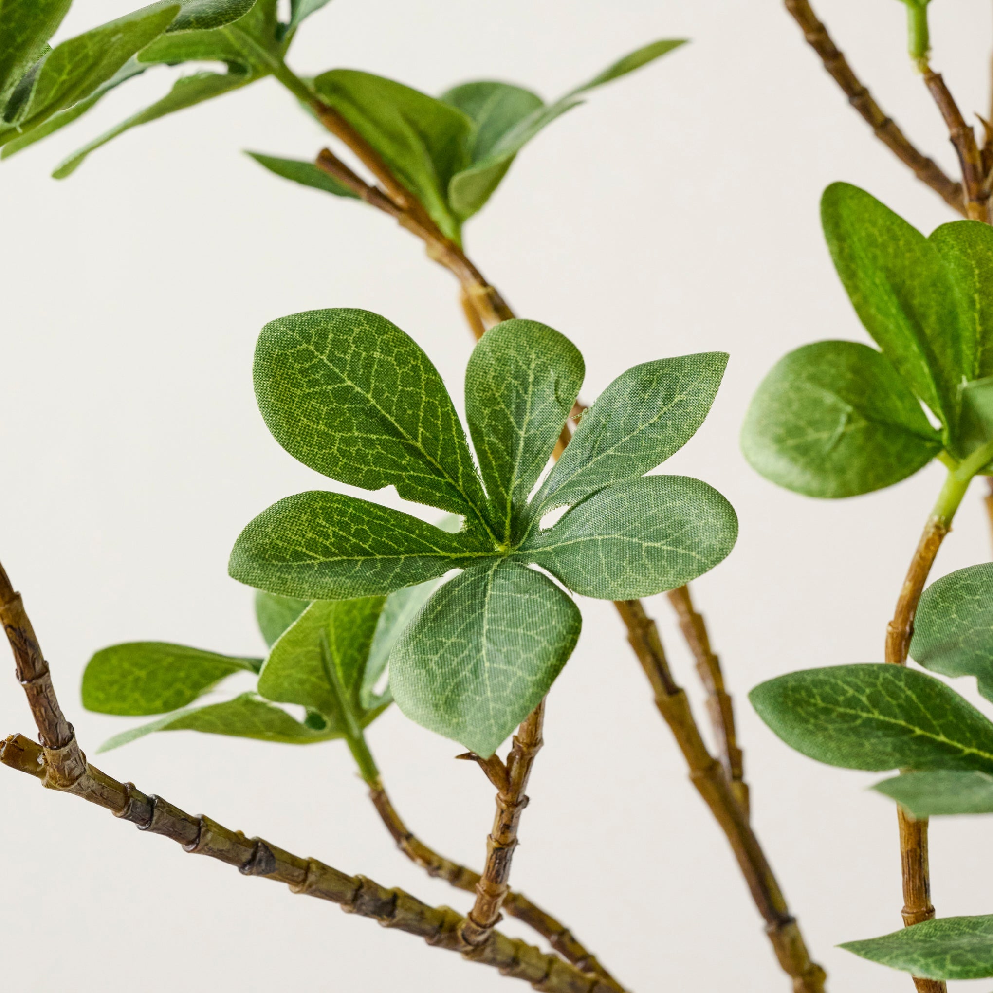 Oversized Green Leaf Branch