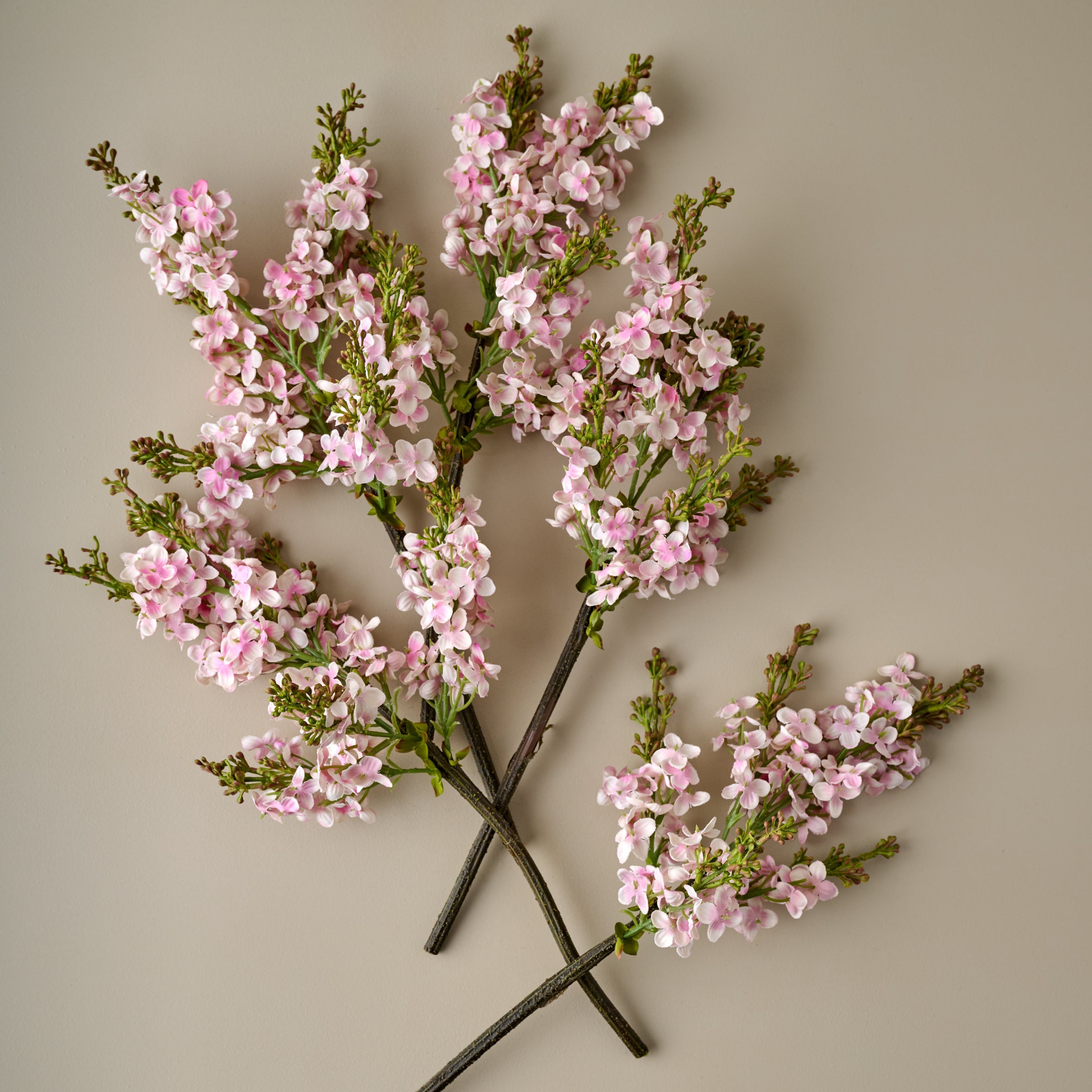 Lilac Bundle