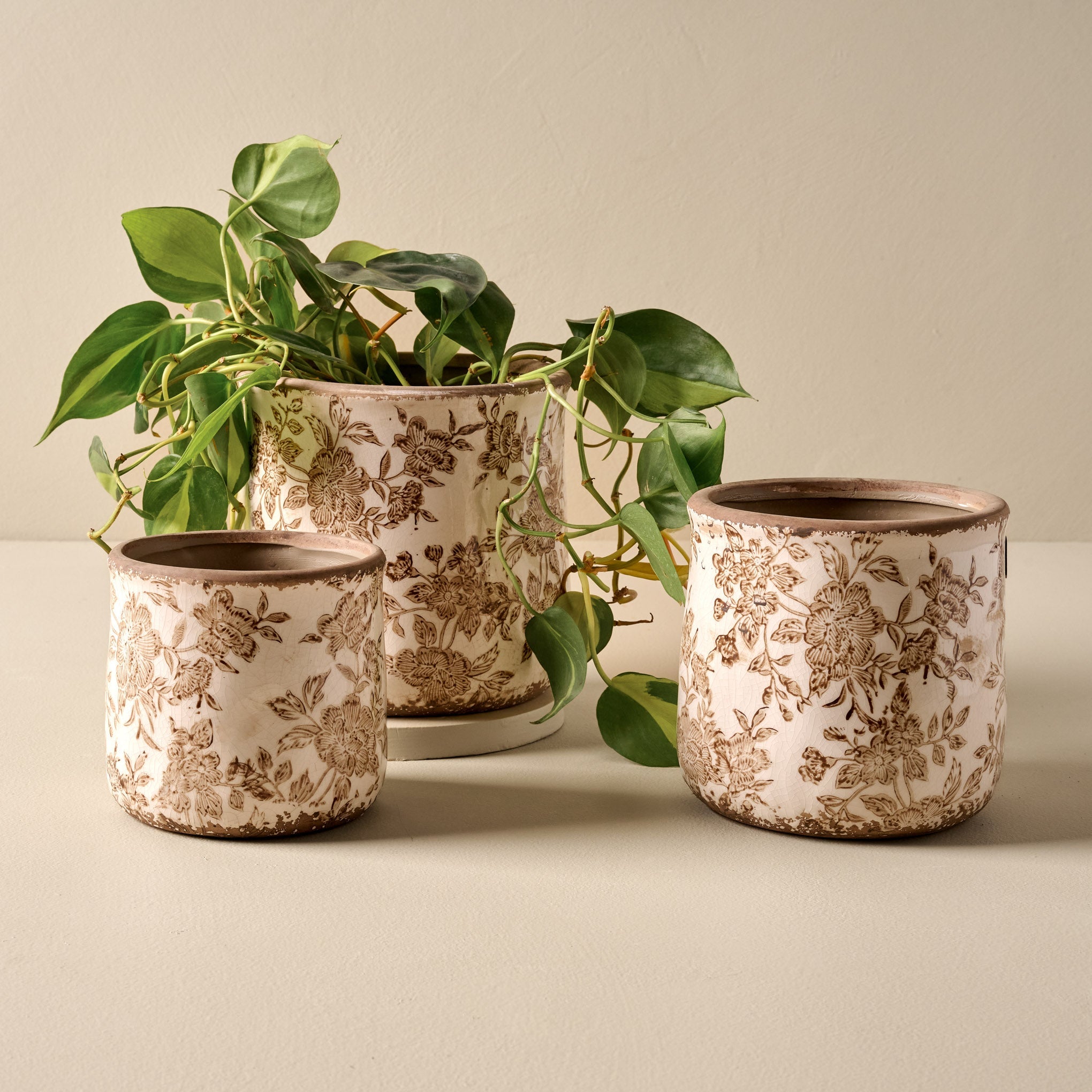 Brown and White Distressed Planter