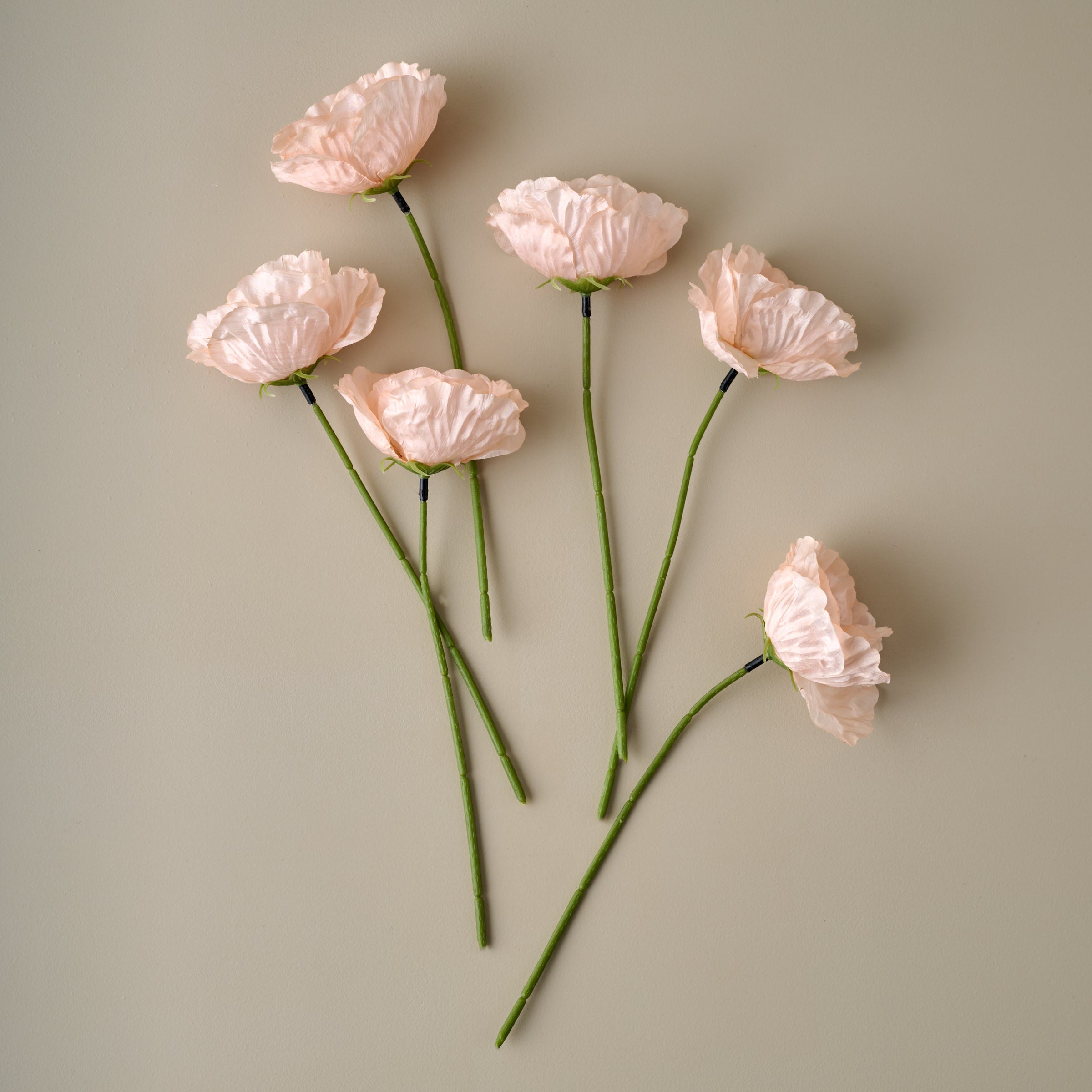 Anemone Bouquet