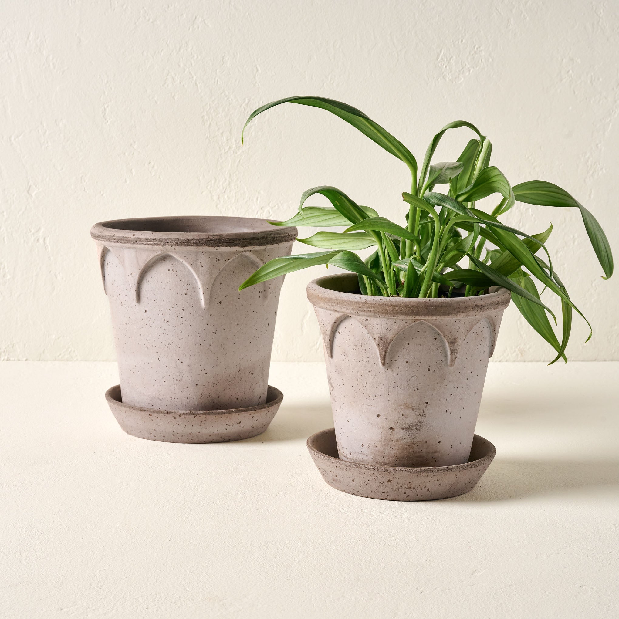 Arched Bergs Pot