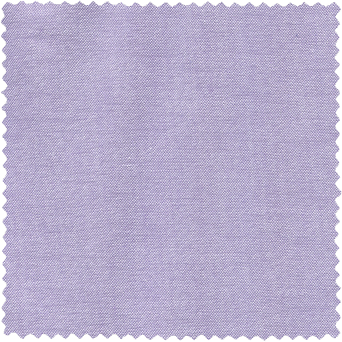 Purple Oxford