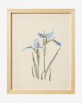 Embroidered Blue Iris