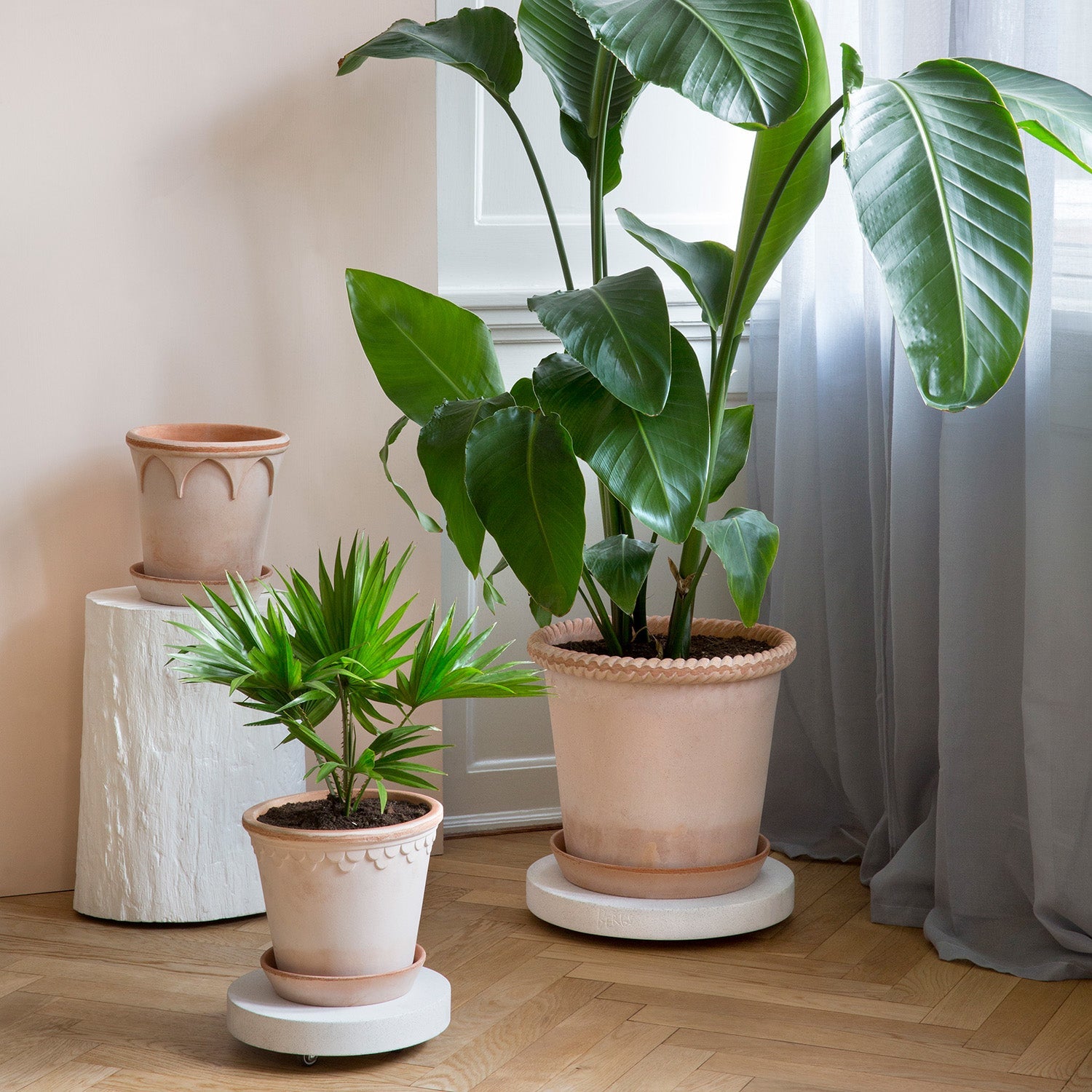 Plant Trolley Ø35