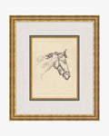 Equine Lines 1