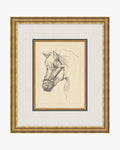 Equine Lines 2