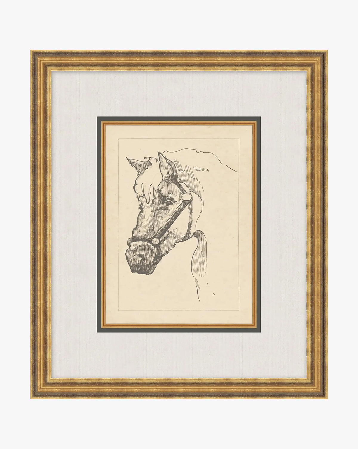 Equine Lines 2