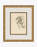 Equine Lines 3